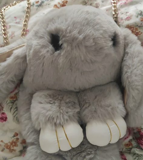 兔子包包小孩女生 南京夫子庙景区买的就旅游...