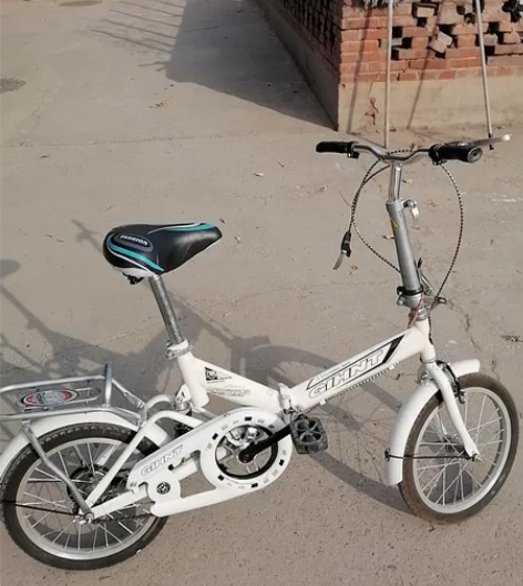 折叠自行车 基本全新 买来没怎么骑,转给有...