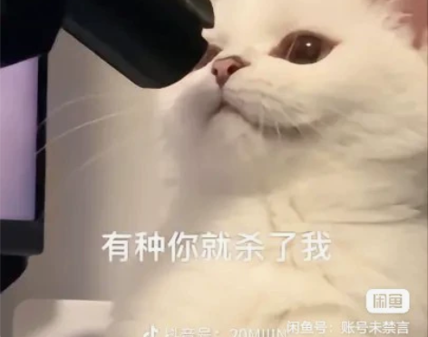 原耽周边退坑包 官周30＋，店周无料110...