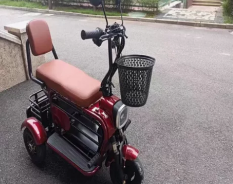 全新飞鸽电动三轮车家用小型接送孩子女士亲子...