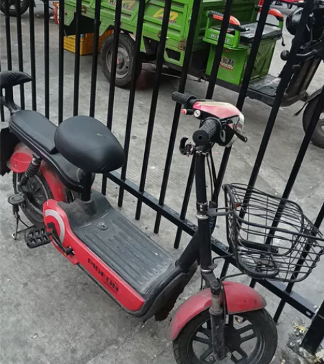 飞鸽电动车，因要回家过年，提前卖了，在白云...