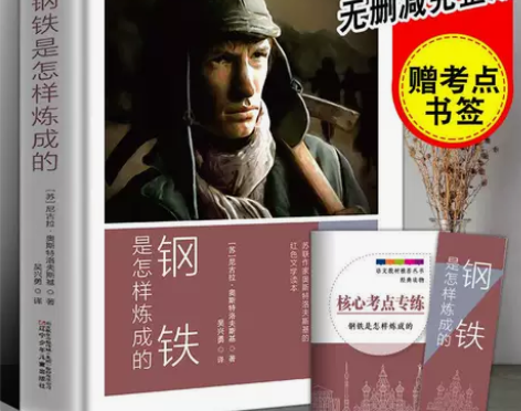 钢铁是怎样炼成的 正版原著无删减 外国文学...