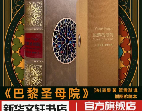 巴黎圣母院插画珍藏本 维克多雨果著 管震