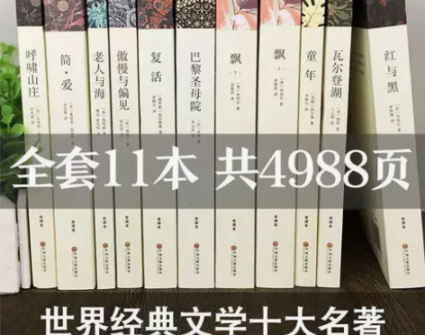 世界十大名著无删减 飘巴黎圣母院简爱复活红...