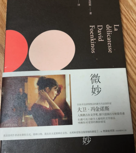 法国作家大卫冯金诺斯 作品,微妙。只看过一...