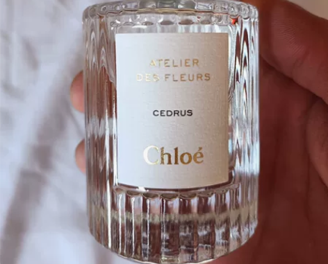 Chloe蔻依北国雪松仙境花园香水50ml...