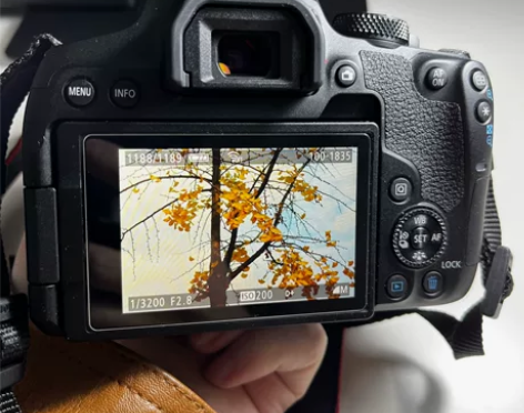 相机:佳能D850 镜头:3代50定焦f1...