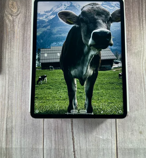 ipad pro 2021款 12.9寸 ...