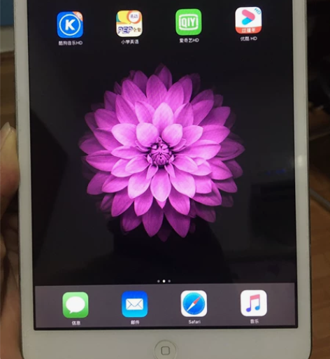 Apple/苹果 iPad mini1  ...