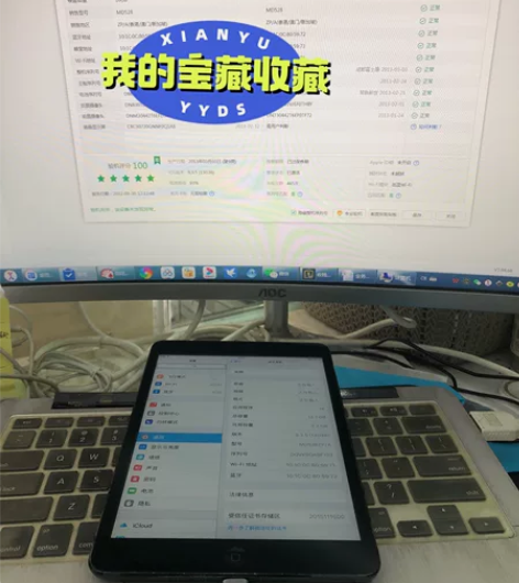 ipad mini港版16g一手自用，全原...
