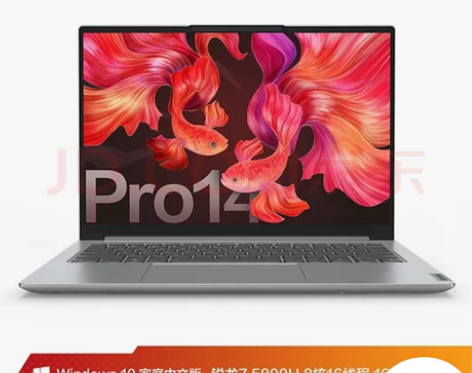 22年2月份购买联想（Lenovo）小新P...