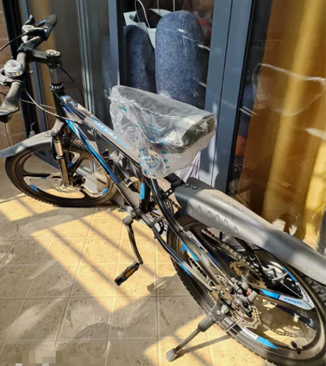 中国飞鸽大中童山地车自行车，本来买来给孩子...