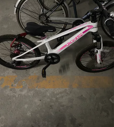 喜德盛儿童自行车男孩女学生20寸山地车中大...