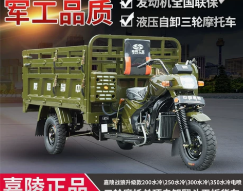 嘉陵三轮摩托200风冷 200水冷发动机原...