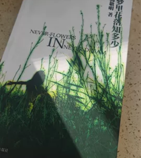郭敬明亲笔签名《梦里花落知多少》,9成新 ...