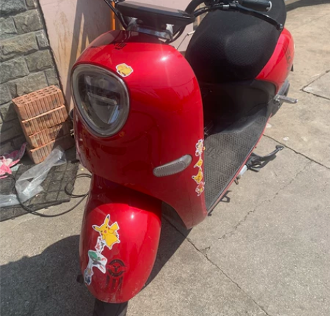电动轻便摩托车 电动车,新大洲的,不是杂...