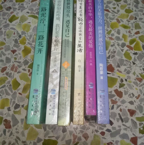 （出）心灵鸡汤 青春文学 励志文学   情...