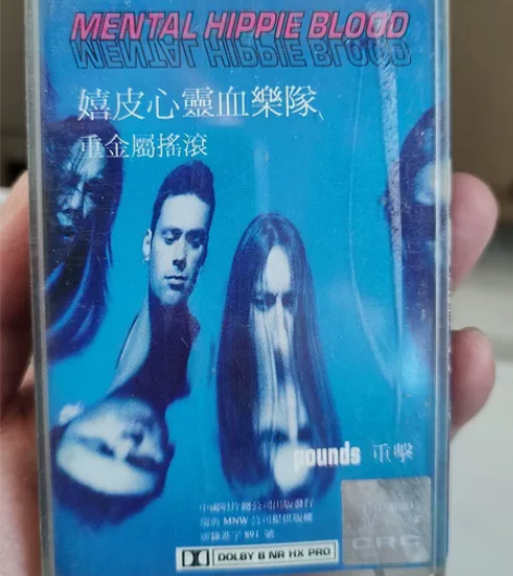 嬉皮心灵血乐队 重金属摇滚。 感兴趣的话点...