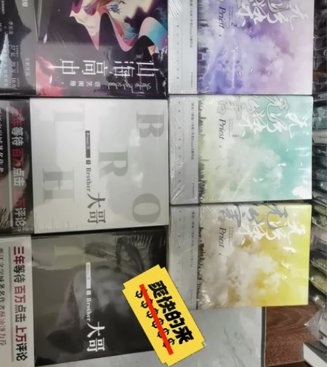 保证正品 校园.、纯爱、悬疑小说 喜欢的可...