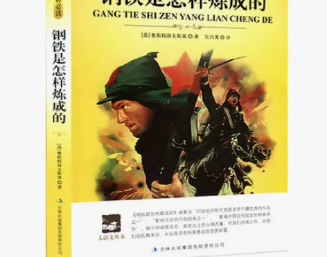 正版钢铁是怎样炼成的 原著经典世… 感兴趣...
