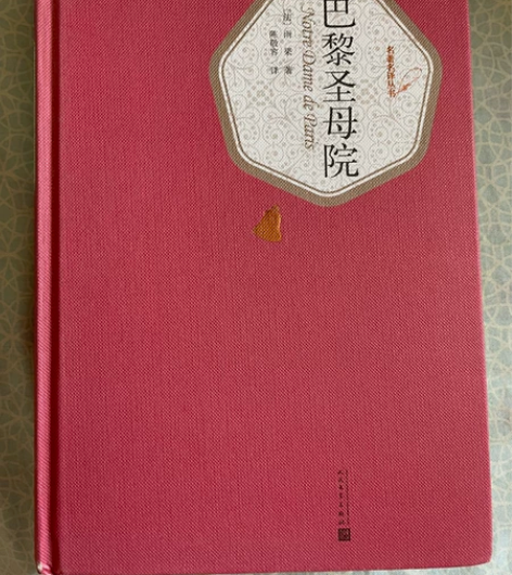 巴黎圣母院 人民卫生出版社 陈敬容译 封面...