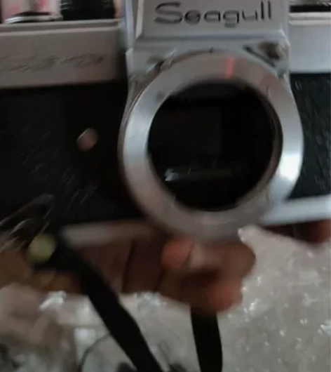 出售海鸥DF-1ETM照相机，品相如图，适...