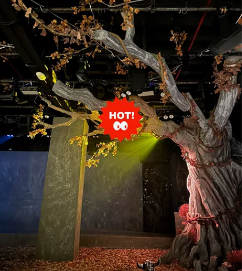 翻国王棋 音乐剧 0115 晚  A2-7...