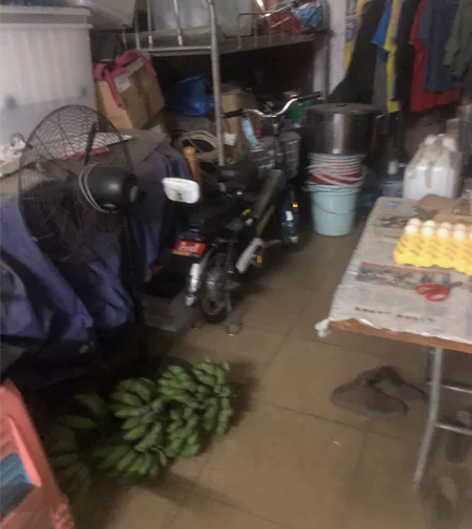 台铃电动车,电动自行车,电动车,电池可以拿...