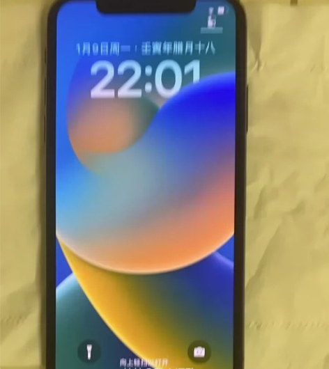 iPhone X 存储容量:64G 购买渠...