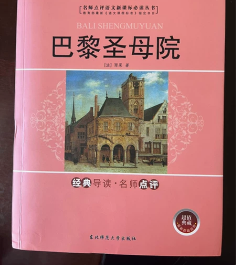 巴黎圣母院几乎全新 出闲置 感兴趣的话点“...
