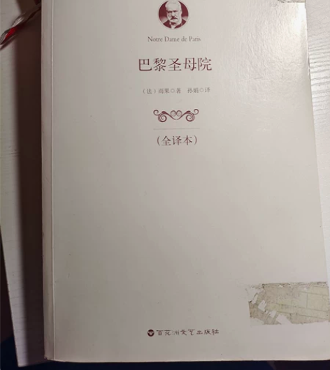 中小学必读经典《巴黎圣母院》 已读完，出闲...
