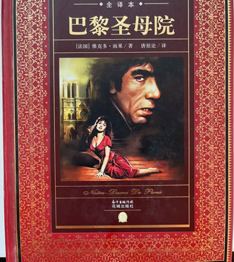 巴黎圣母院全译本全新 买了一直闲置所以出了...