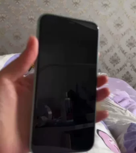 苹果11 感兴趣的话点“我想要”和我私聊吧...