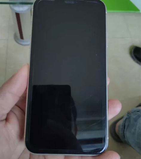 女生自用苹果11 iPhone11内存12...