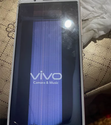 vivo 坏成这样还有人要吗 感兴趣的话点...