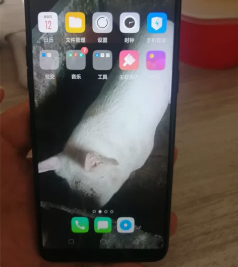 OPPO   A73t，4+64G，双卡双...