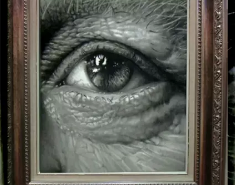 漆黑之牙 超写实素描  眼超写实素描作品 ...