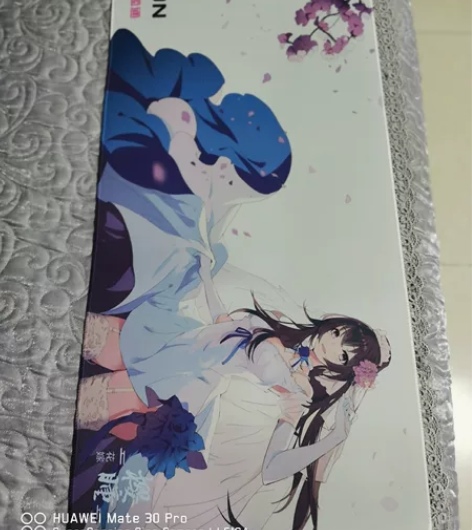 大号电竞鼠标垫  900mm×400mm ...