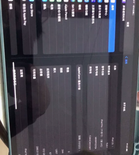 自用ipadpro2021  512g w...