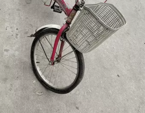 菲利普自行车  学生党    买了一直闲置...