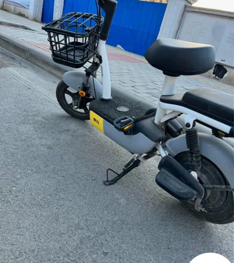 预售 预售 预售。正月初四回天津。 爱玛电...