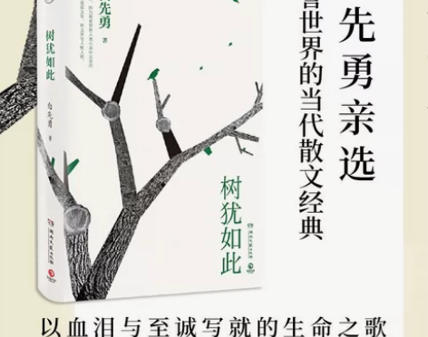 树犹如此  白先勇亲定选本代表作散文书籍选...