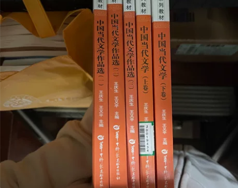中国当代文学上下卷 中国当代文学作品选1 ...
