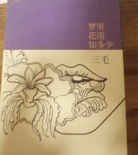 三毛著，梦里花落知多少、雨季不再来、流星雨...