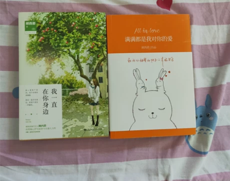 白落梅 普罗旺斯 安意如 三毛 安东尼 顾...