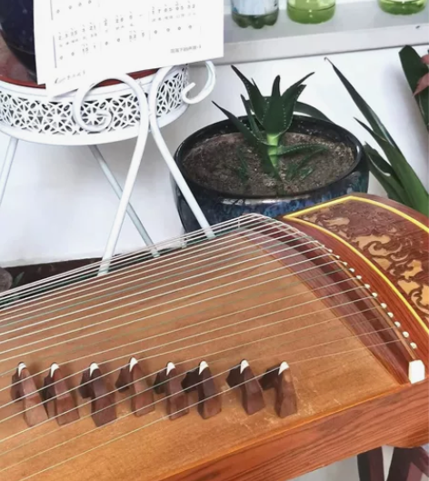 九九新古筝买来只弹过一两次就不学了 因搬家...