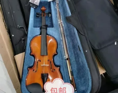 1200元买的小提琴，全新未使用，现低价出...