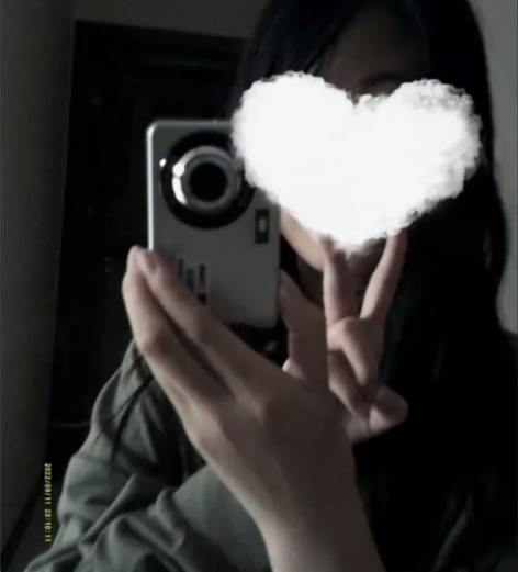 (校园必备】索尼4800万像素同款ccd学...