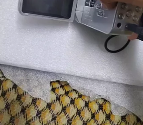 HD索尼照相机如图所见有感兴趣的私售后不退...