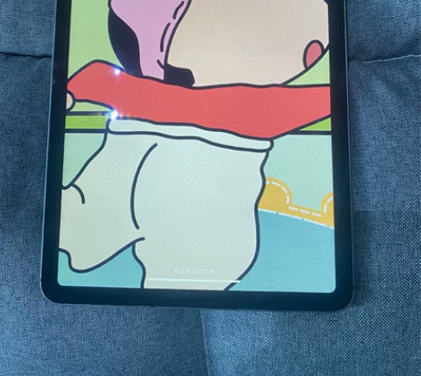 ipad air4 插卡全网通 256g ...